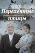 Перелётные птицы