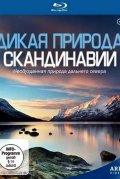 Дикая природа Скандинавии