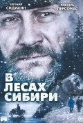 В лесах Сибири